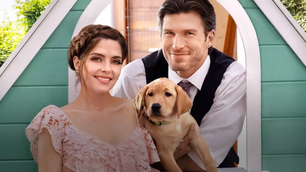 Liebe mit Herz und Hund hdfilme