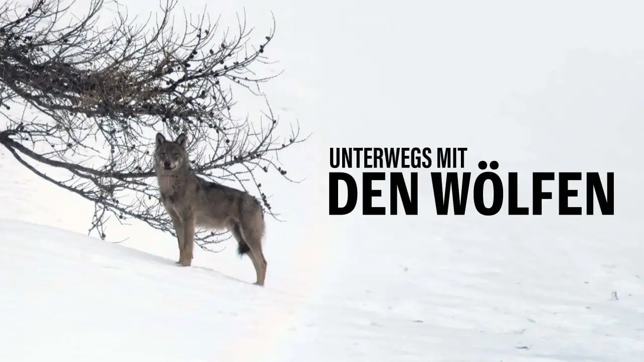 Wolf Walk hdfilme