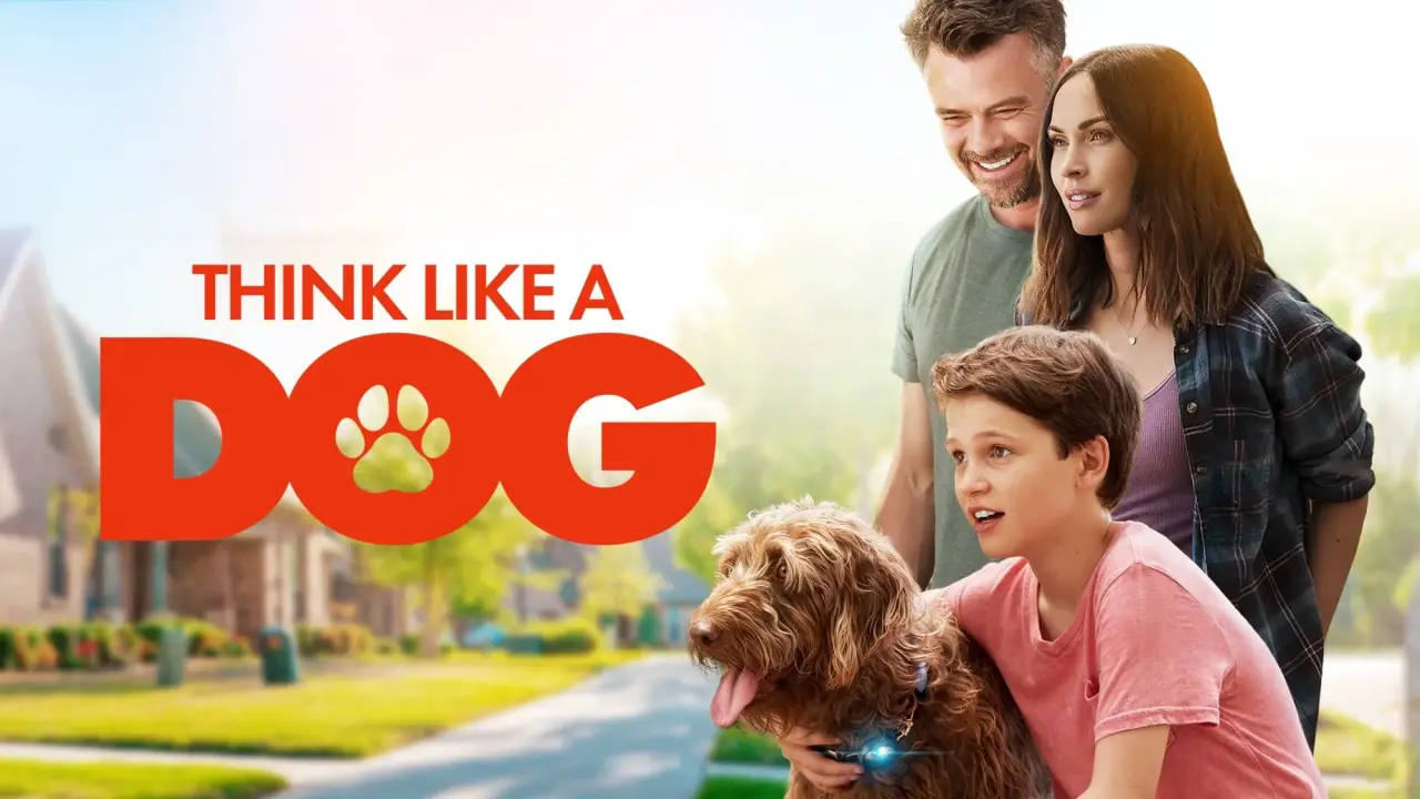 Denke wie ein Hund hdfilme