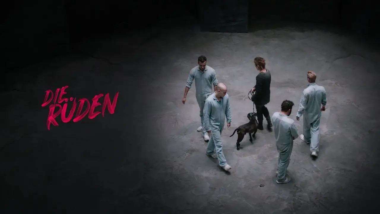 Die Rüden hdfilme