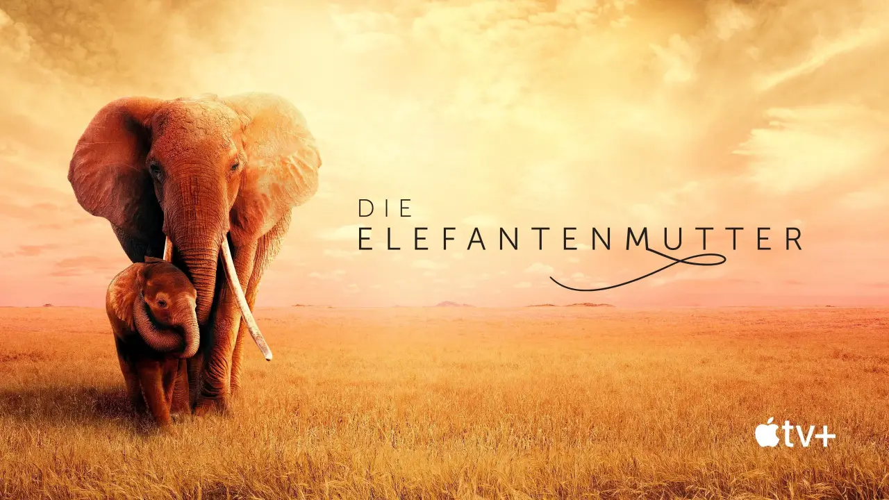 Die Elefantenmutter hdfilme