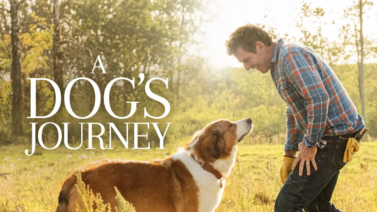 Bailey - Ein Hund kehrt zurück hdfilme