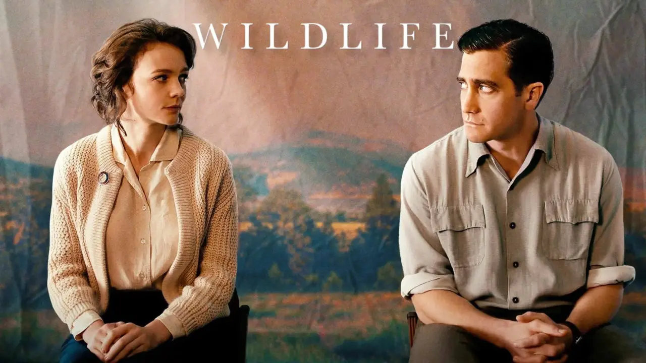 Wildlife hdfilme