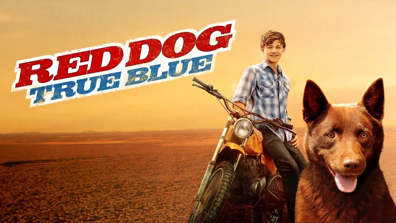 Red Dog – Mein treuer Freund hdfilme
