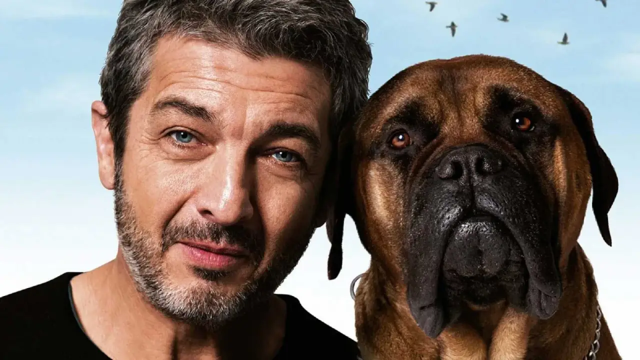 Freunde fürs Leben hdfilme