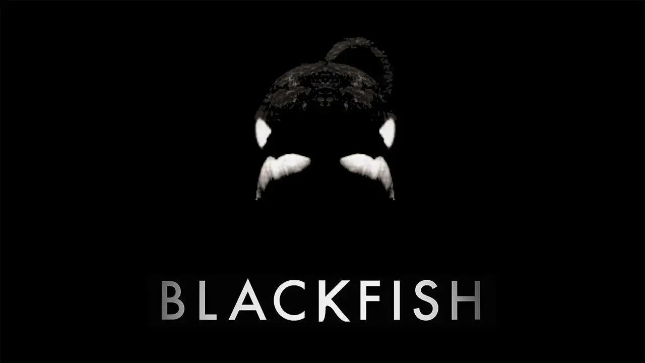 Blackfish hdfilme