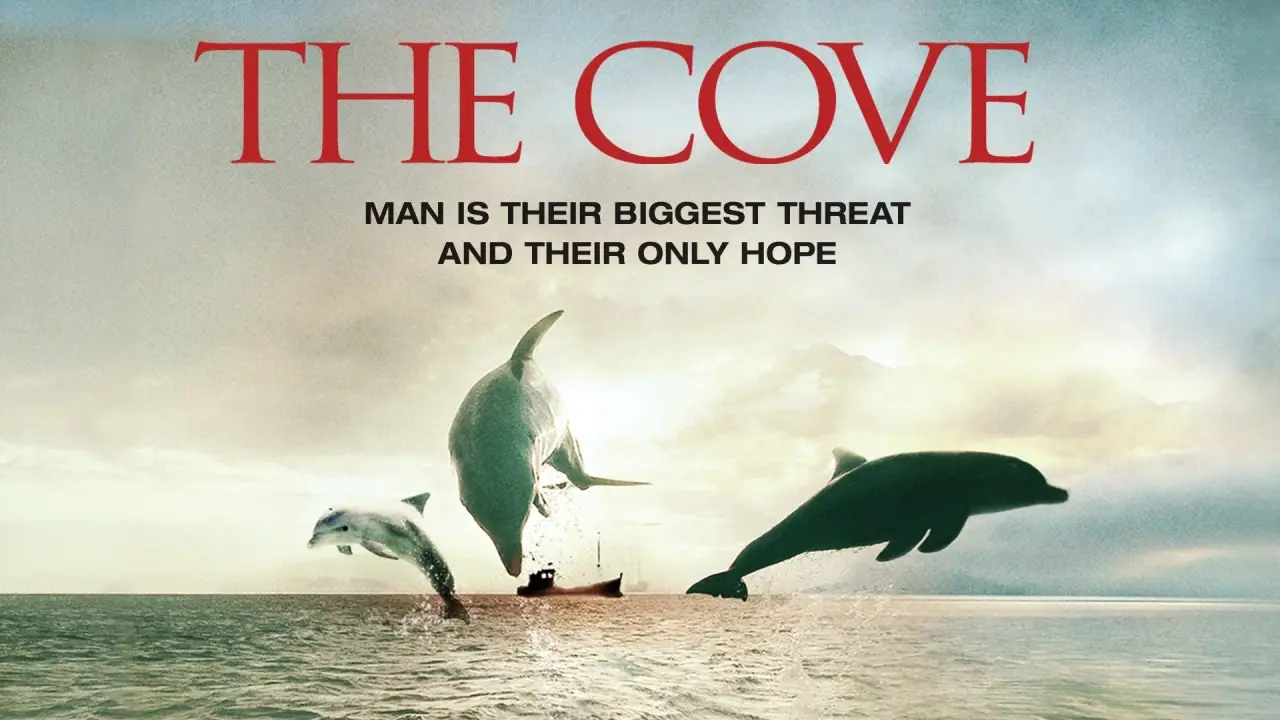 Die Bucht hdfilme