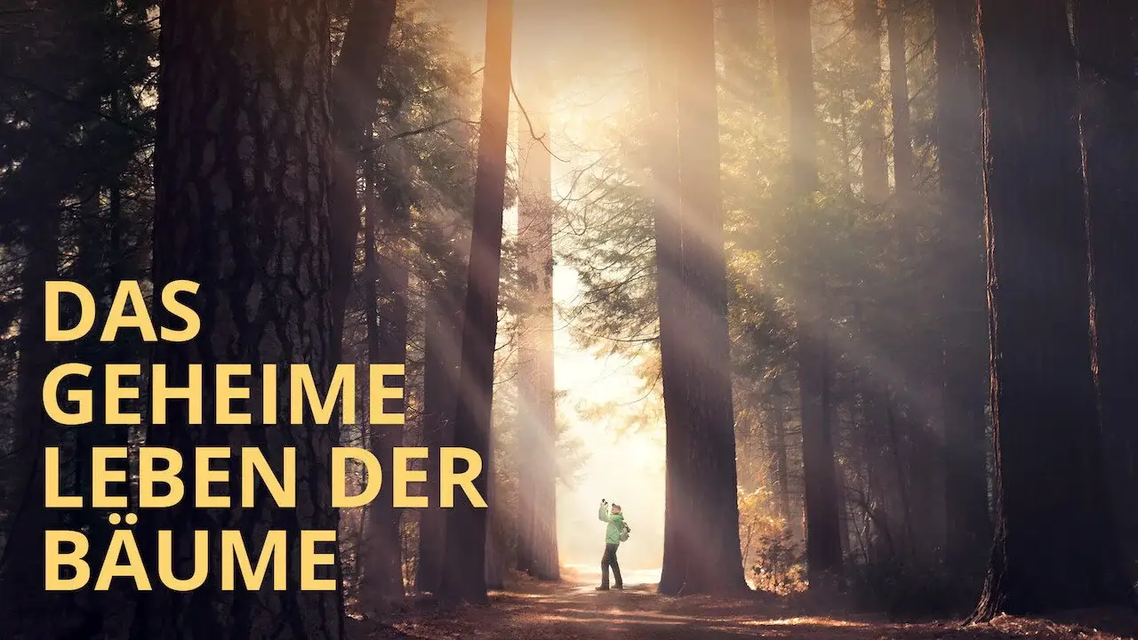 Das geheime Leben der Bäume hdfilme