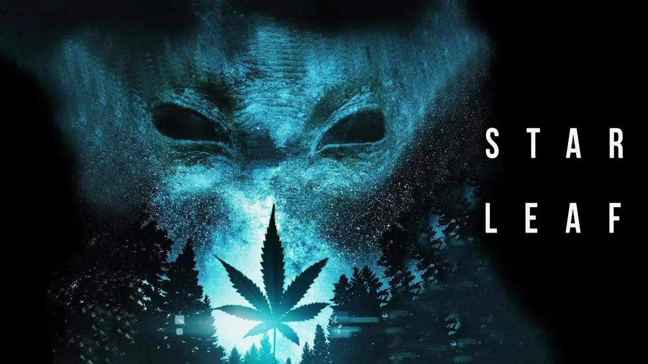 Star Leaf hdfilme