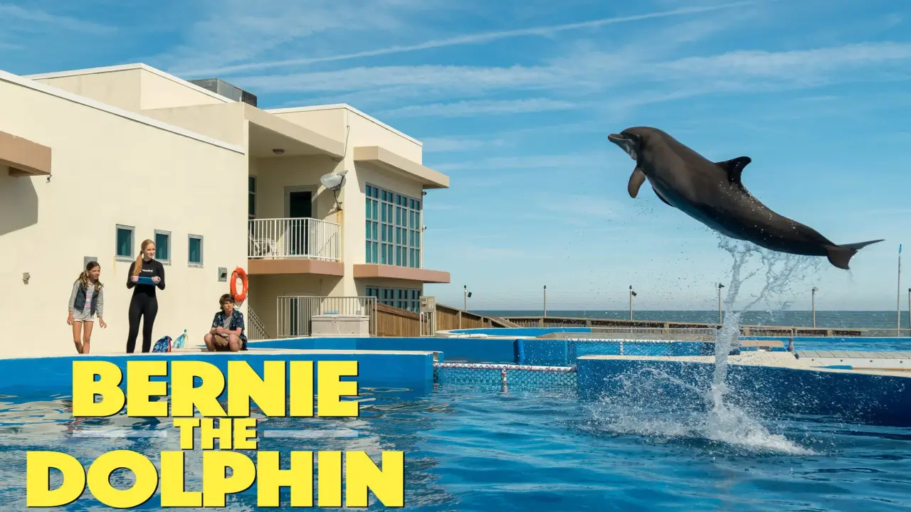 Bernie der Delfin hdfilme