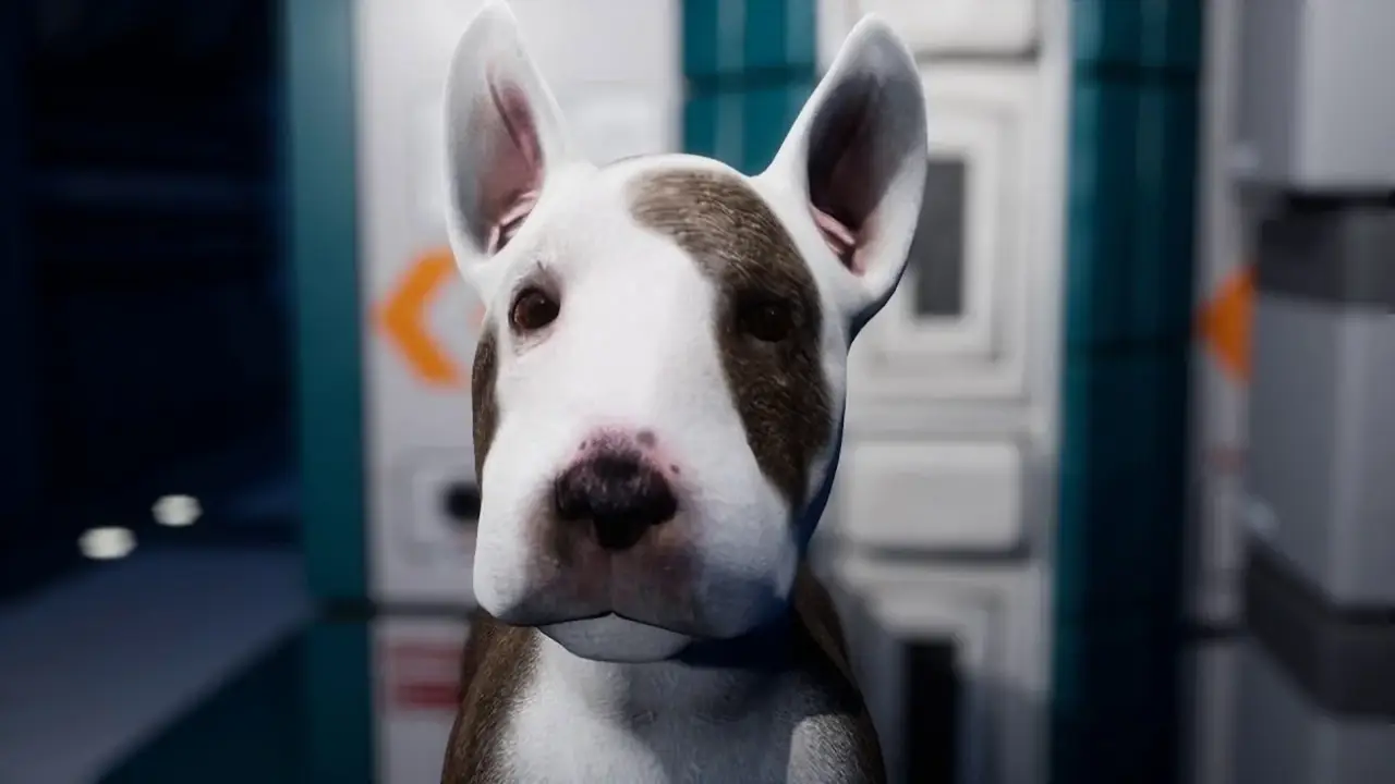 Dog Patrol - Das gefallene Königreich der Knochen hdfilme