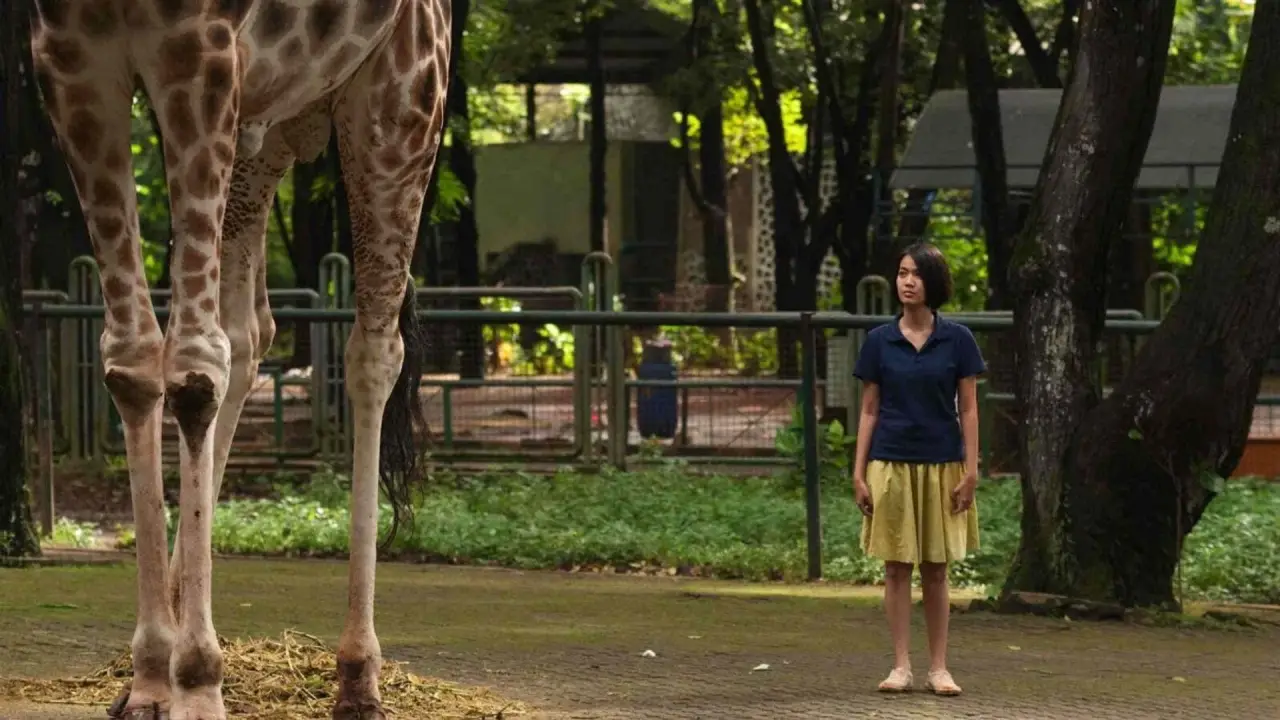 Die Nacht der Giraffe hdfilme