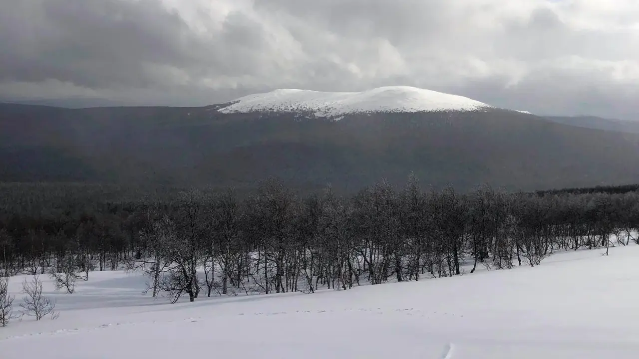 Devil's Pass hdfilme