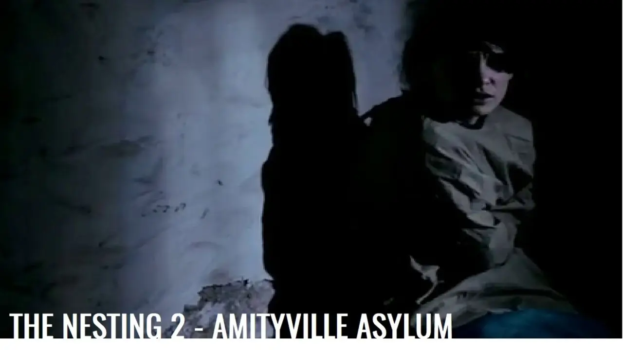 The Nesting 2 - Amityville Asylum hdfilme