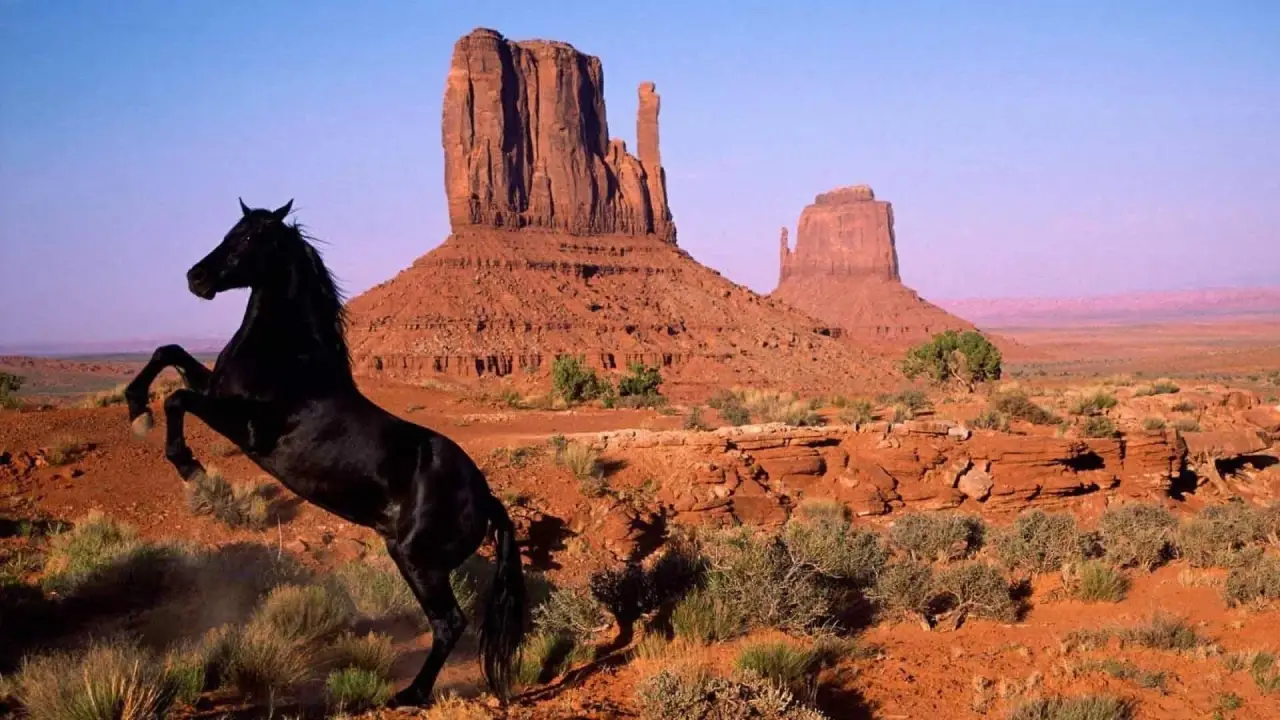 Wild Mustang hdfilme