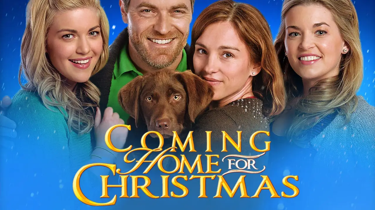 Coming Home for Christmas - Eine Familie zur Bescherung hdfilme
