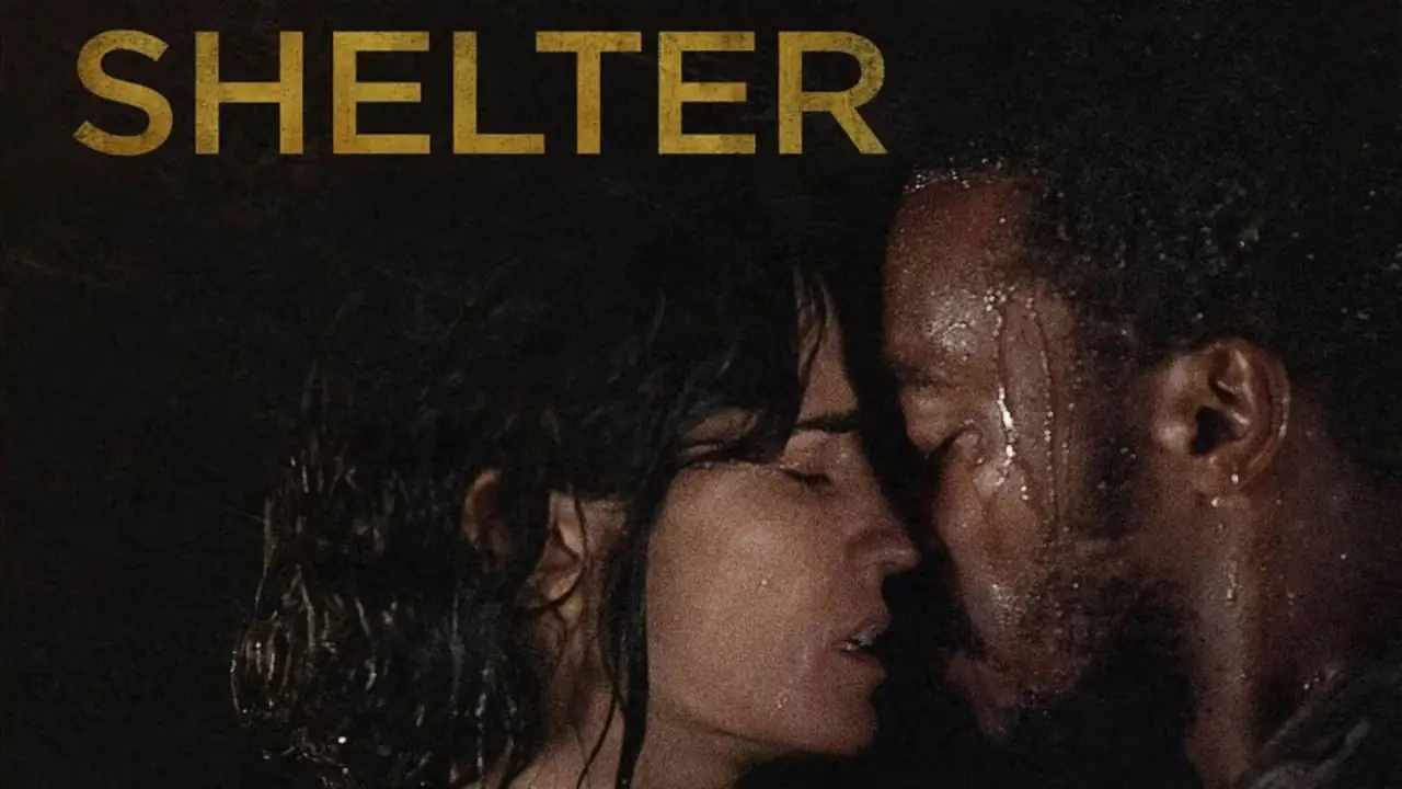 Shelter hdfilme