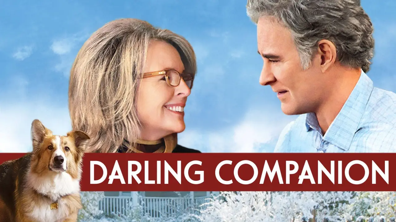 Darling Companion – Ein Hund fürs Leben hdfilme