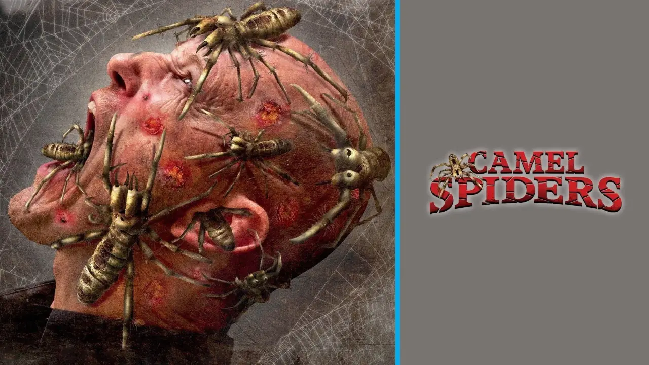 Camel Spiders - Angriff der Monsterspinnen hdfilme