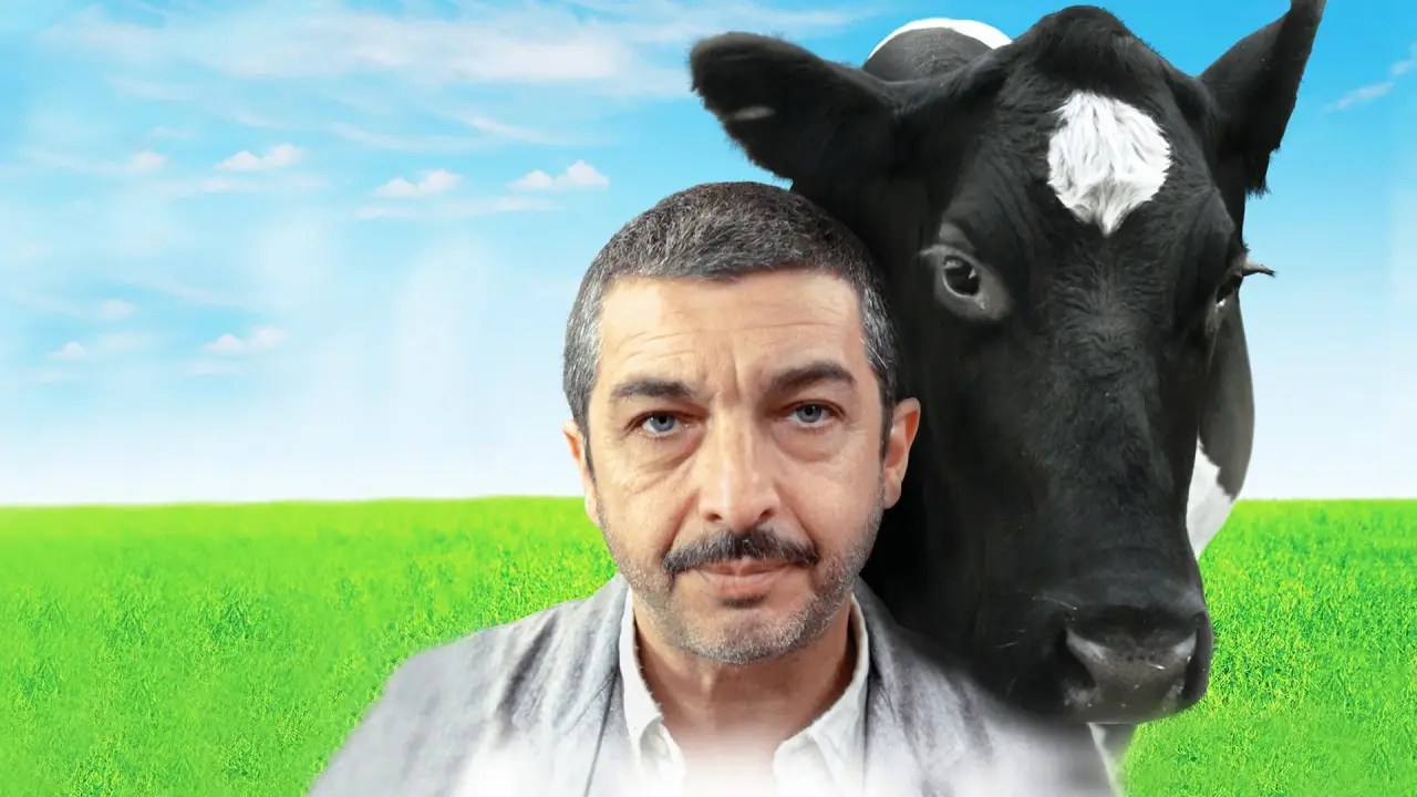Chinese zum Mitnehmen hdfilme