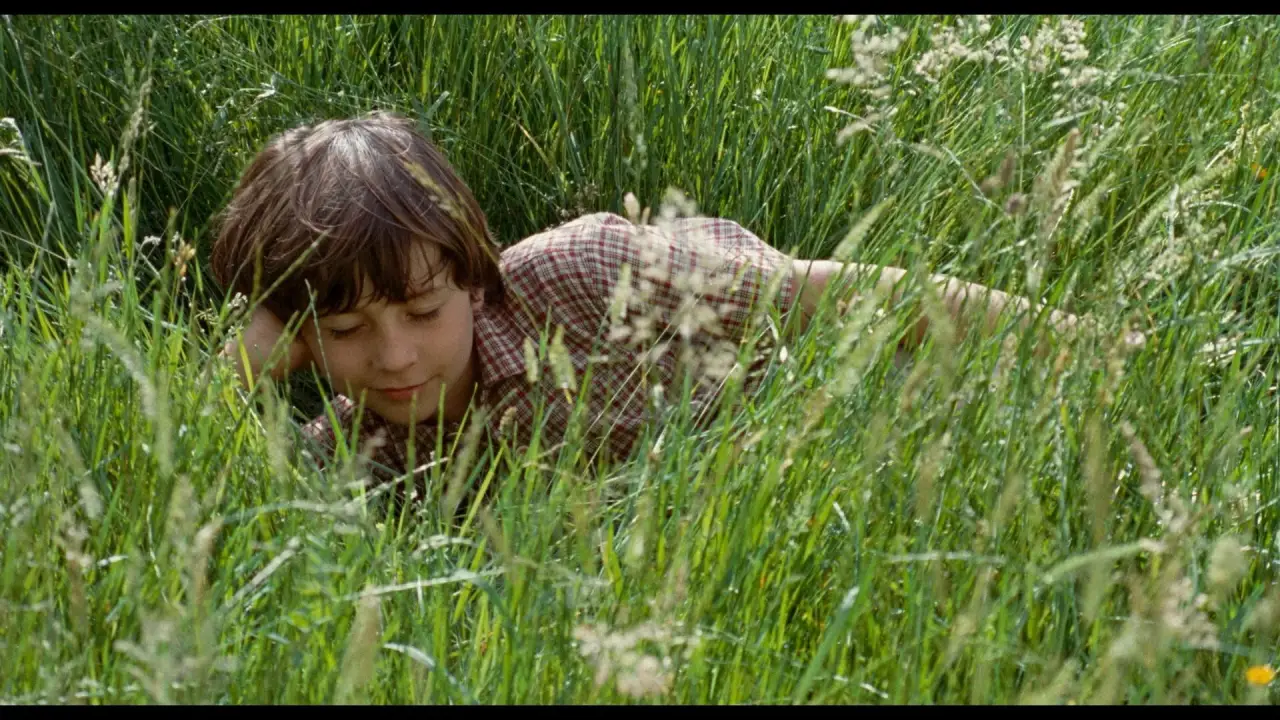 Das Wunder der Natur hdfilme