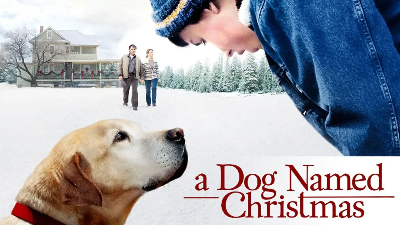Ein Hund namens Weihnachten hdfilme