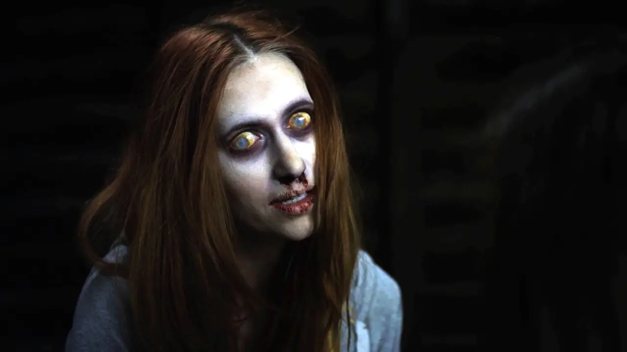 The Haunting of Whaley House hdfilme