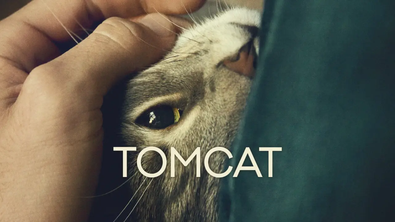 Kater hdfilme