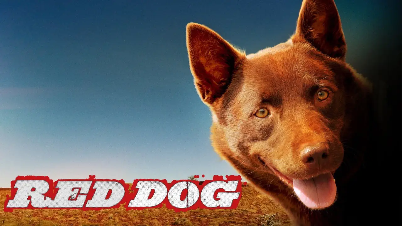 Red Dog hdfilme