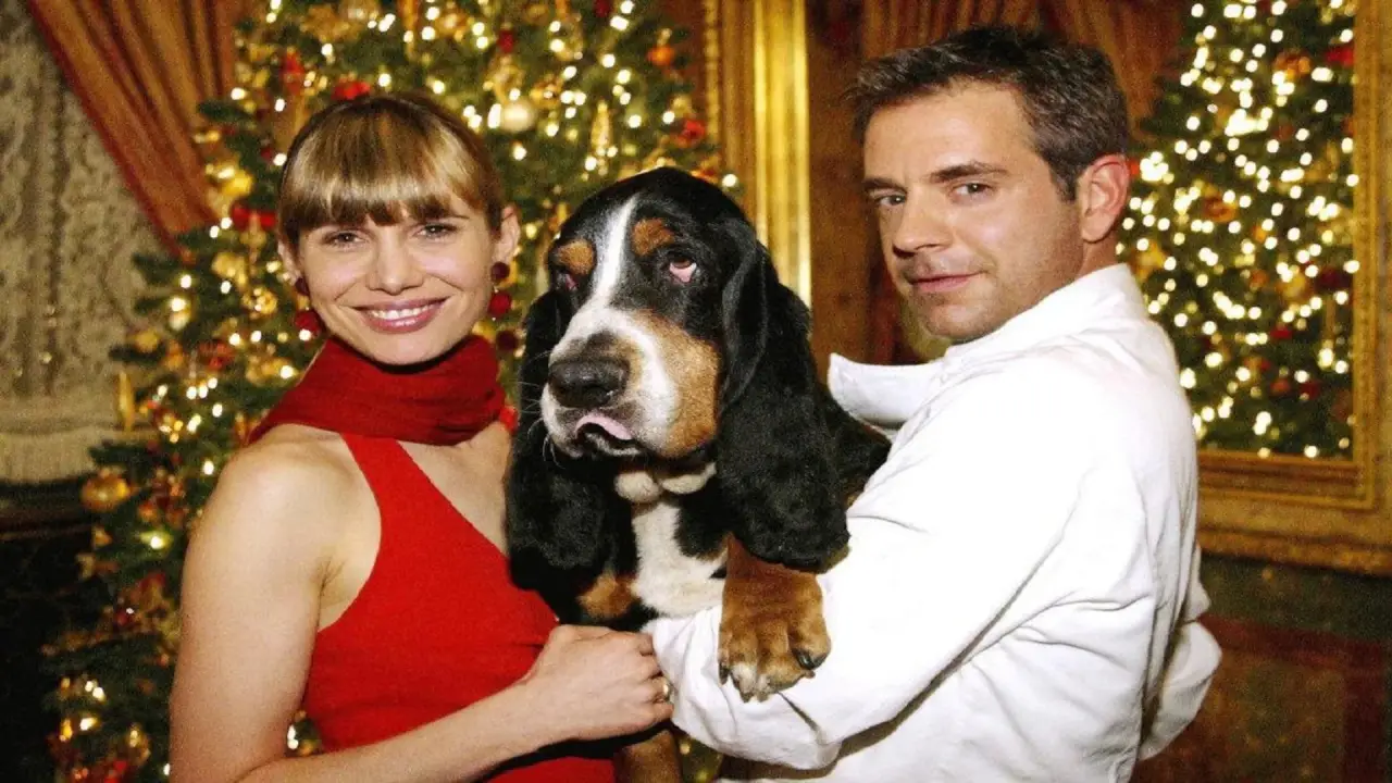 Der Weihnachtshund hdfilme