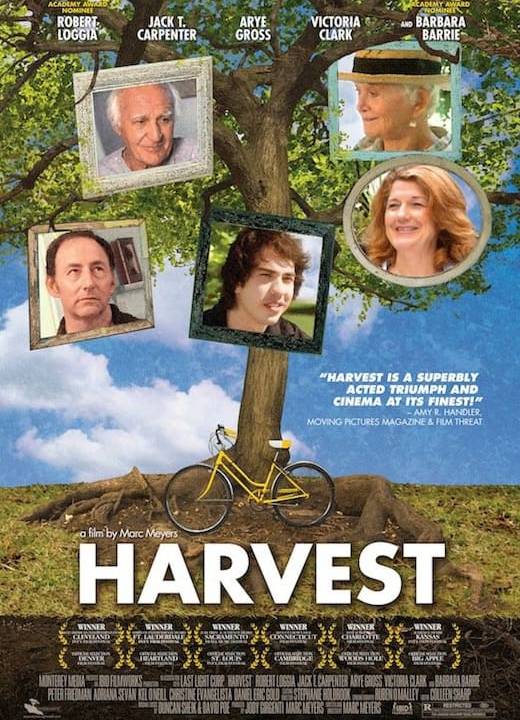 Ein letzter Sommer hdfilme