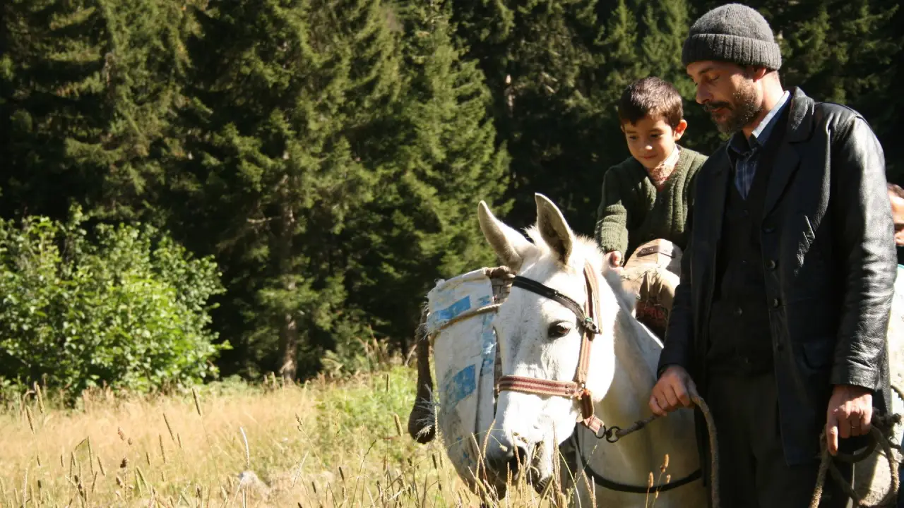 Bal - Honig hdfilme