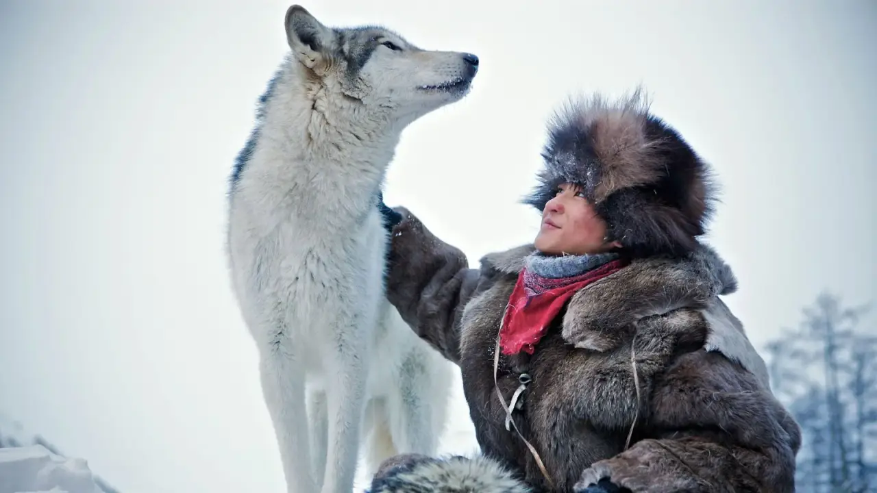 Der Junge und der Wolf hdfilme