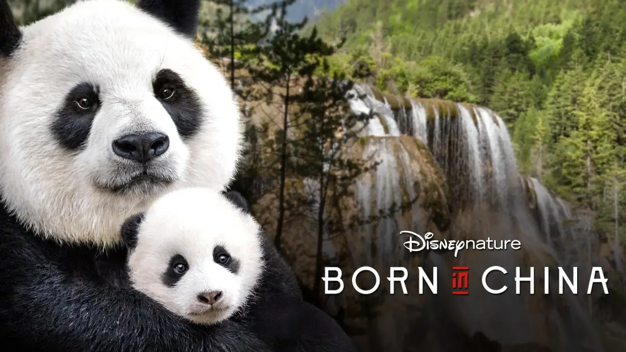 Born in China hdfilme