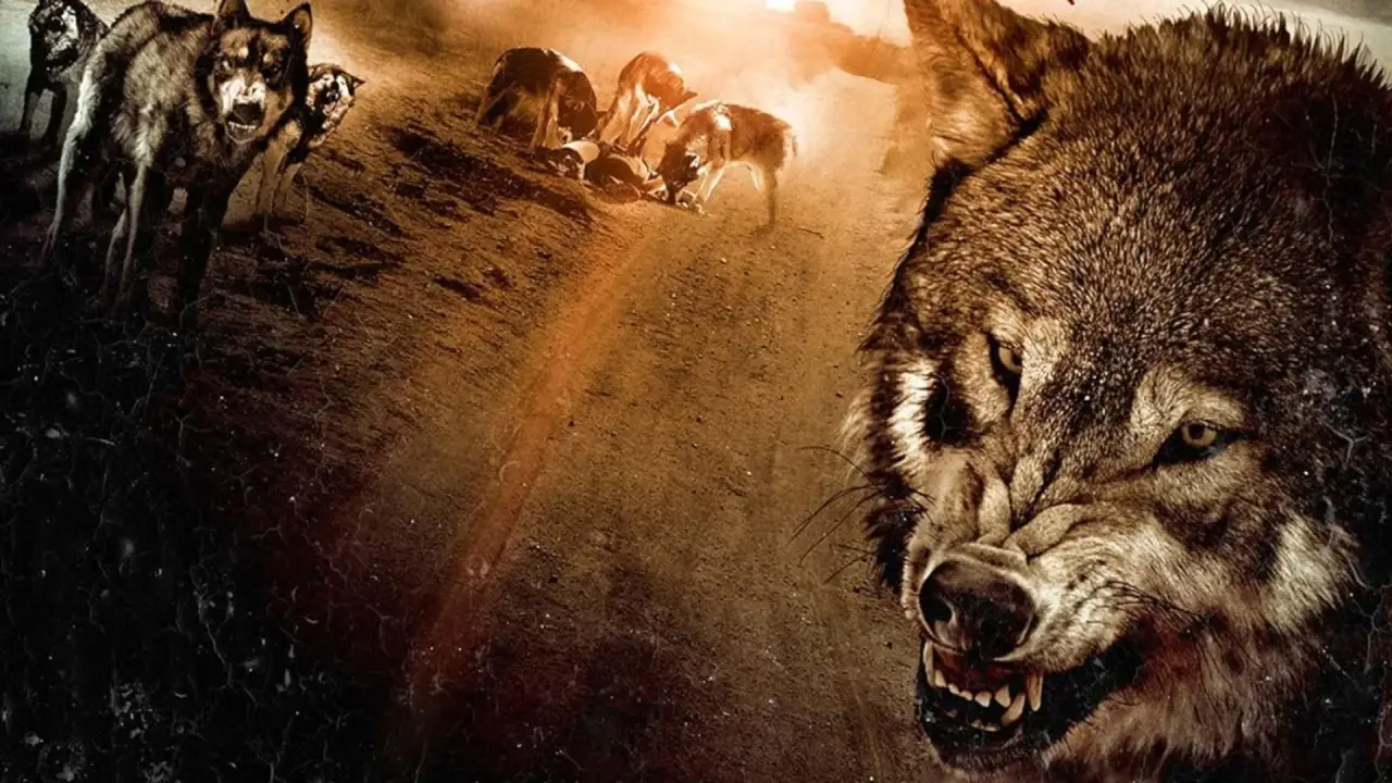Wolf Town hdfilme