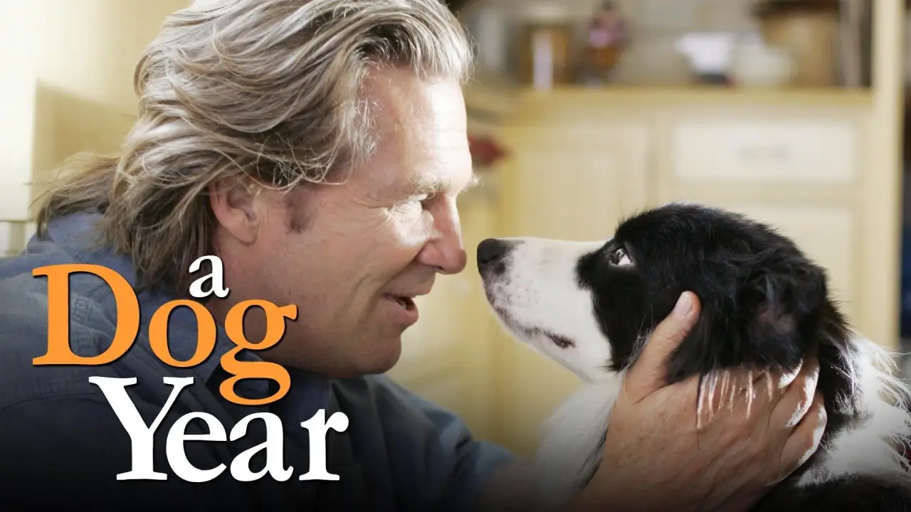 A Dog Year hdfilme