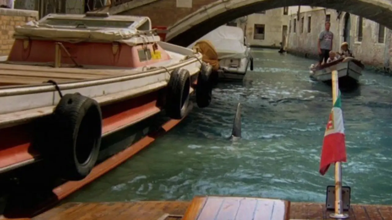 Der weiße Hai in Venedig hdfilme