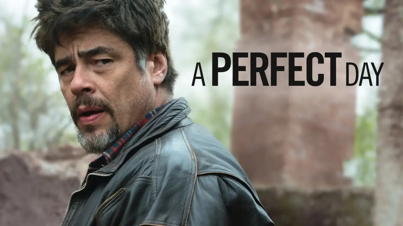 A Perfect Day hdfilme
