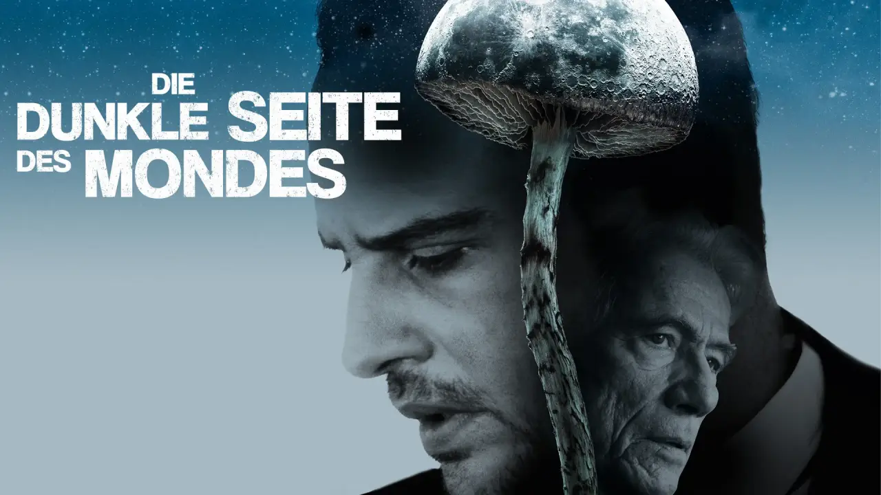 Die dunkle Seite des Mondes hdfilme