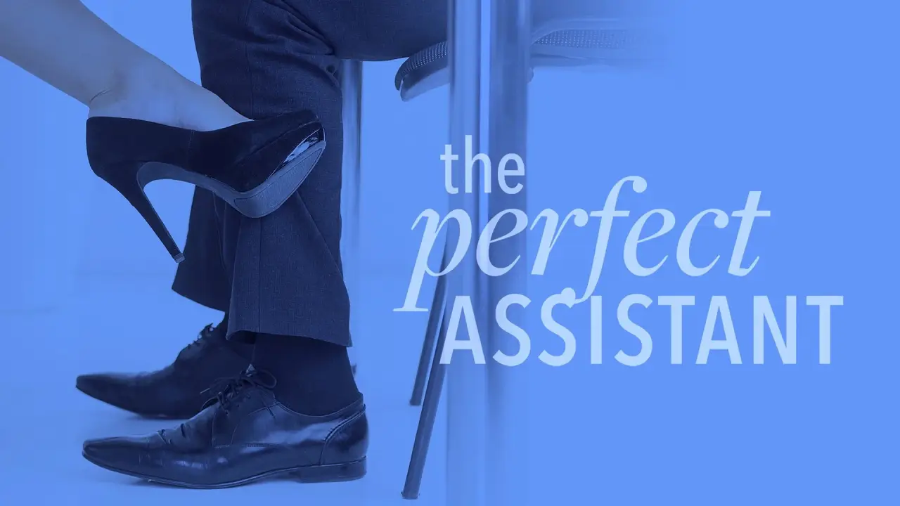 The Perfect Assistant hdfilme