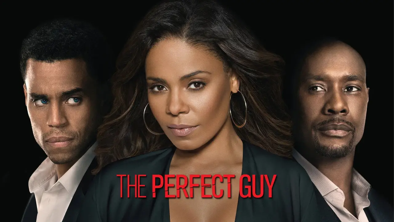 The Perfect Guy hdfilme
