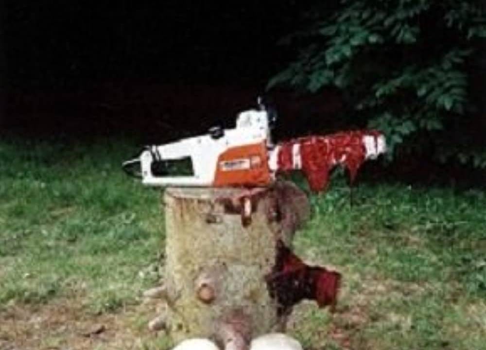 Knochenwald hdfilme
