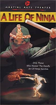 Die Rache des Ninjas hdfilme