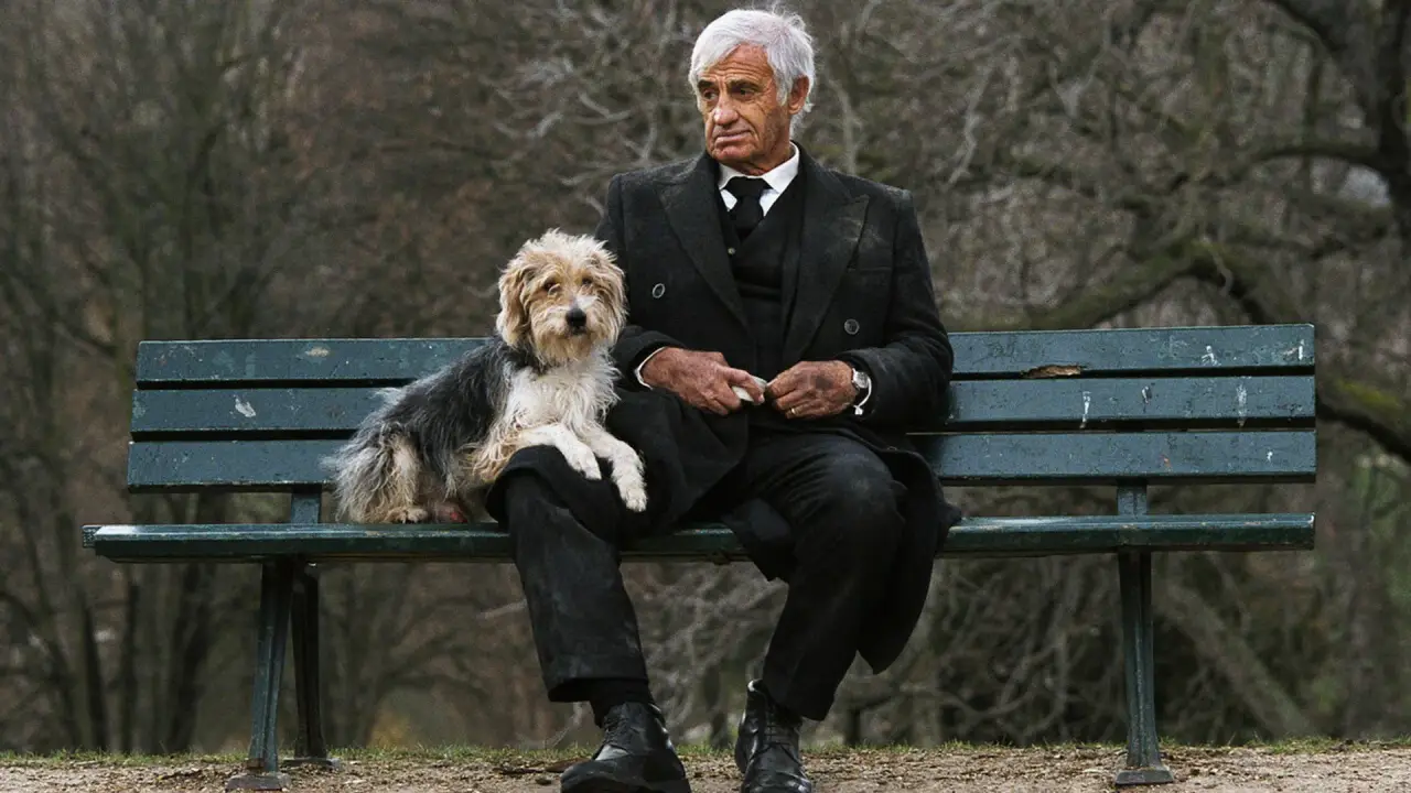 Ein Mann und sein Hund hdfilme