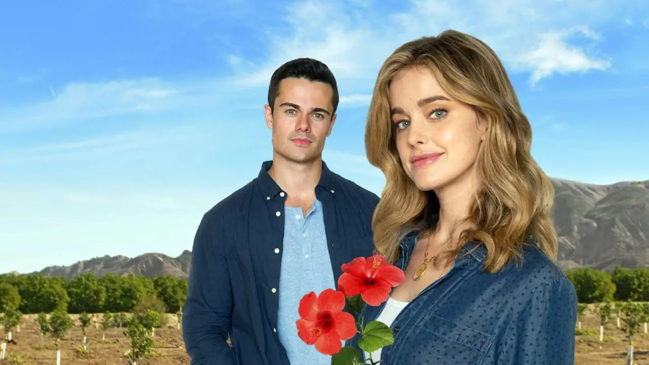 Honig & Liebe hdfilme