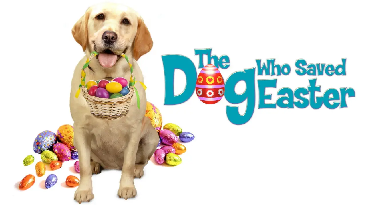 Ein Hund rettet Ostern hdfilme