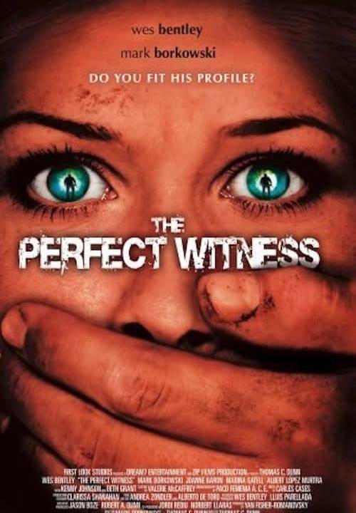 The Perfect Witness - Der tödliche Zeuge hdfilme