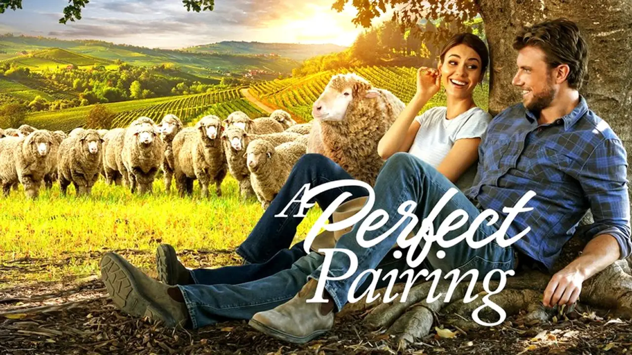 A Perfect Pairing hdfilme