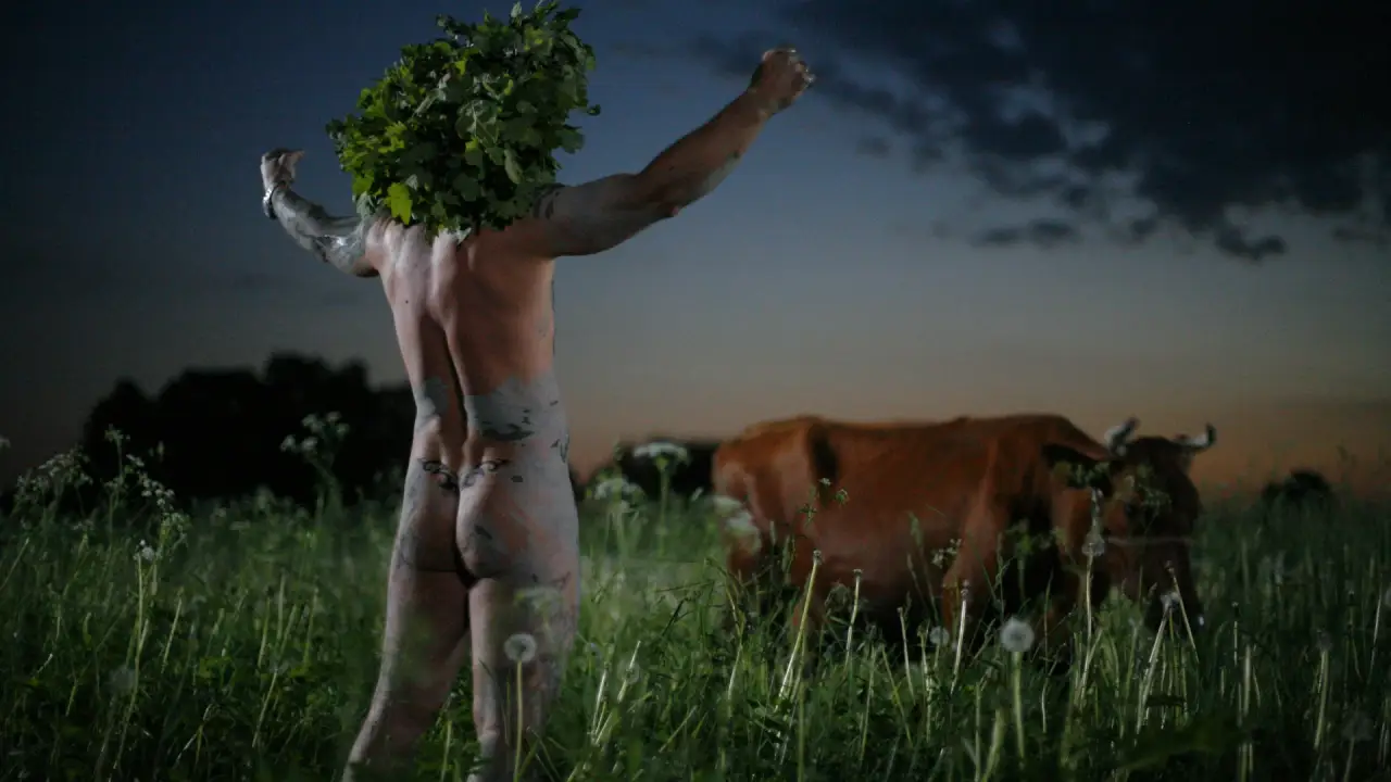 Midsummer Madness hdfilme