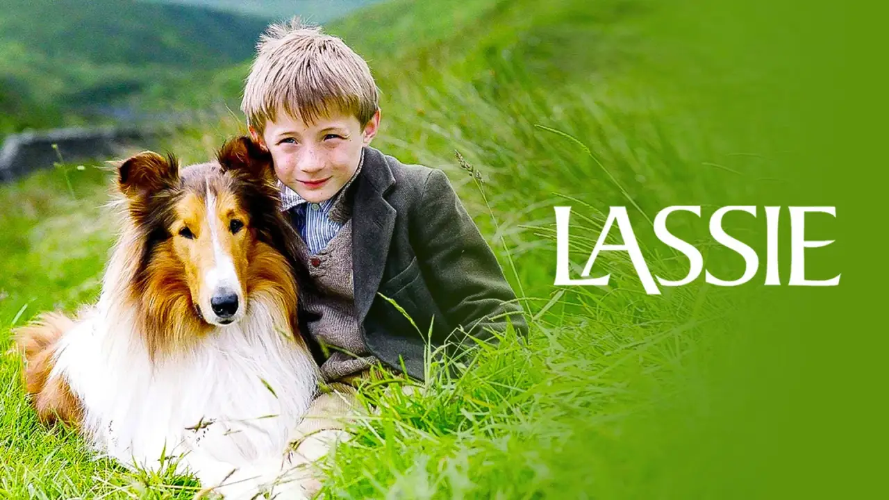 Lassie kehrt zurück hdfilme